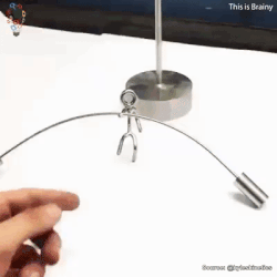 신기한 인테리어 상품...gif1