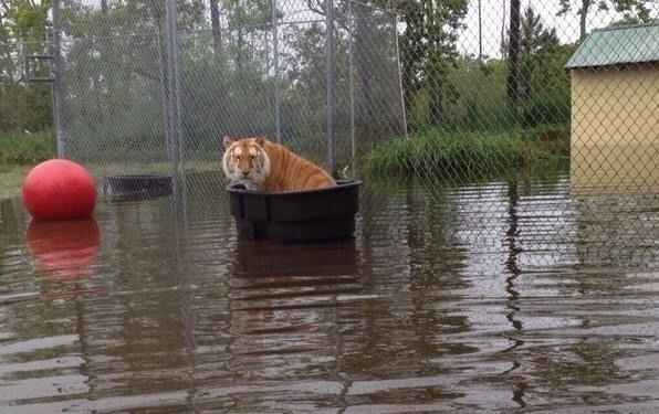 라이프 오브 다라이 .jpg1