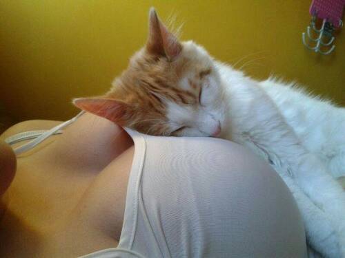 좀 더 자구싶은데 ㅠㅠ.jpg1