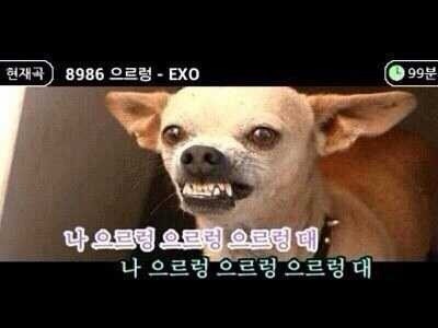 노래방 화면 모음1