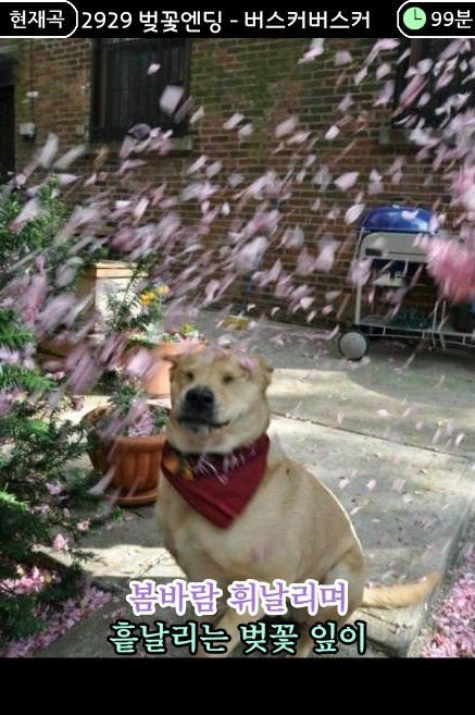 노래방 화면 모음2