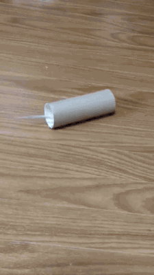 돌아버린 새.gif1