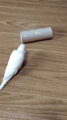 돌아버린 새.gif2