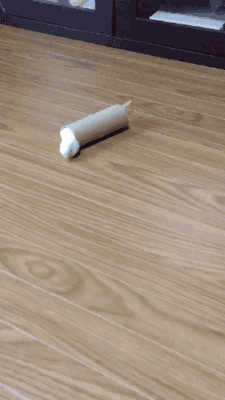 돌아버린 새.gif3