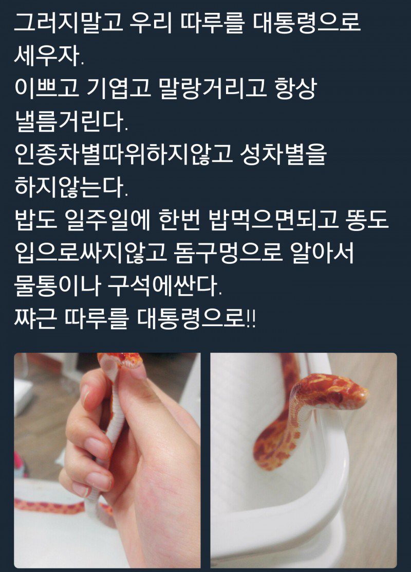 현재 트럼프 당선으로 대환장파티중인 트위터 모음.jpg12