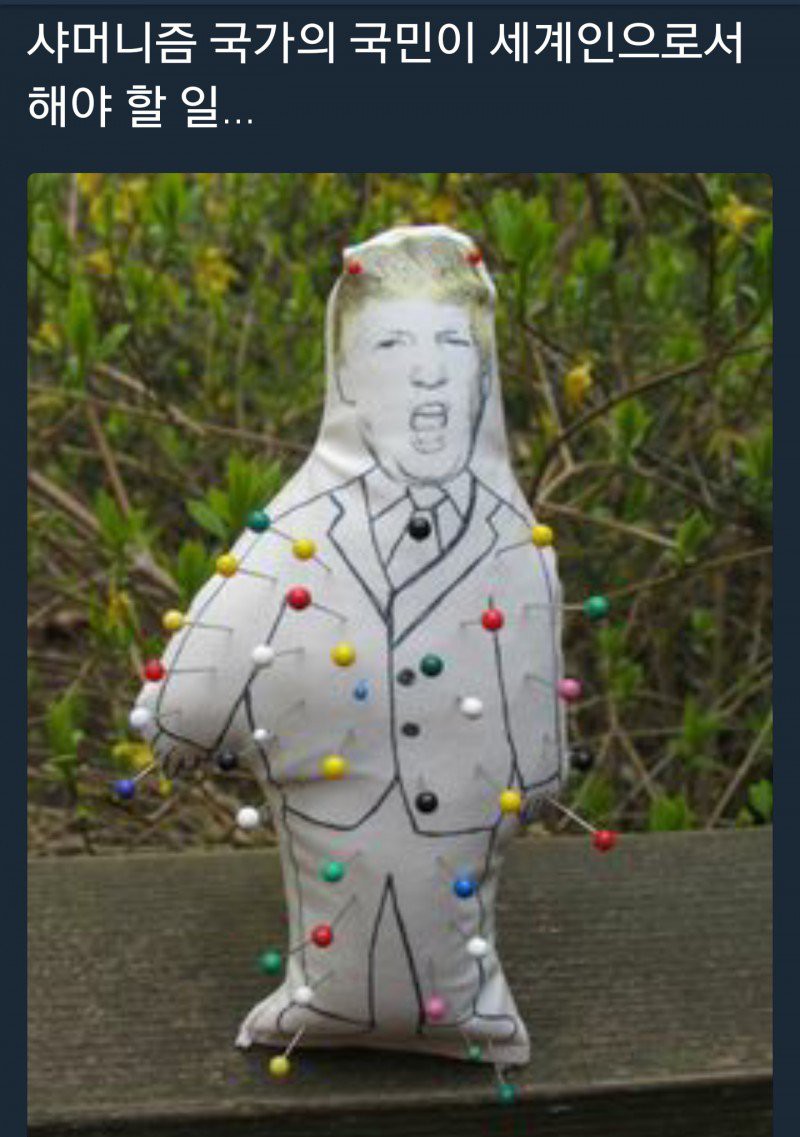 현재 트럼프 당선으로 대환장파티중인 트위터 모음.jpg2