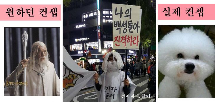 어제字 둥굴이교 교주.jpg1