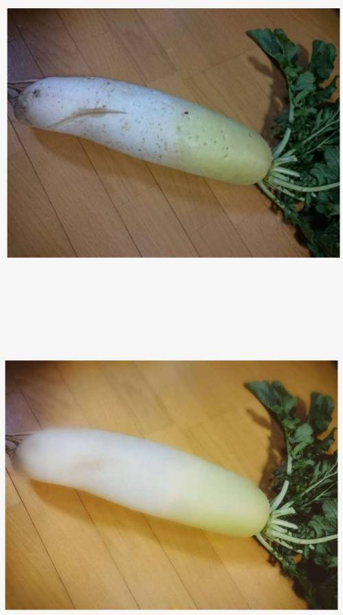 무보정사진.jpg1