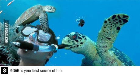 잠수부의 위기.jpg1