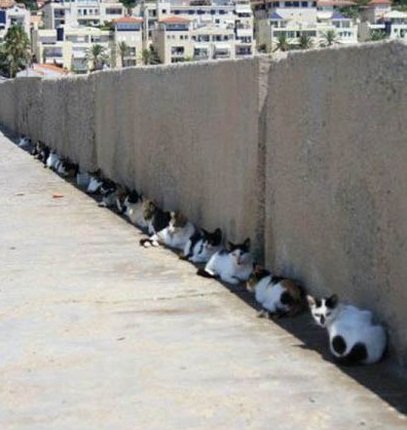 점 찍어놓은 것을 정리하는 법 ...10