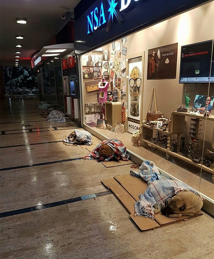 터키 이스탄불 쇼핑몰 근황.jpg1