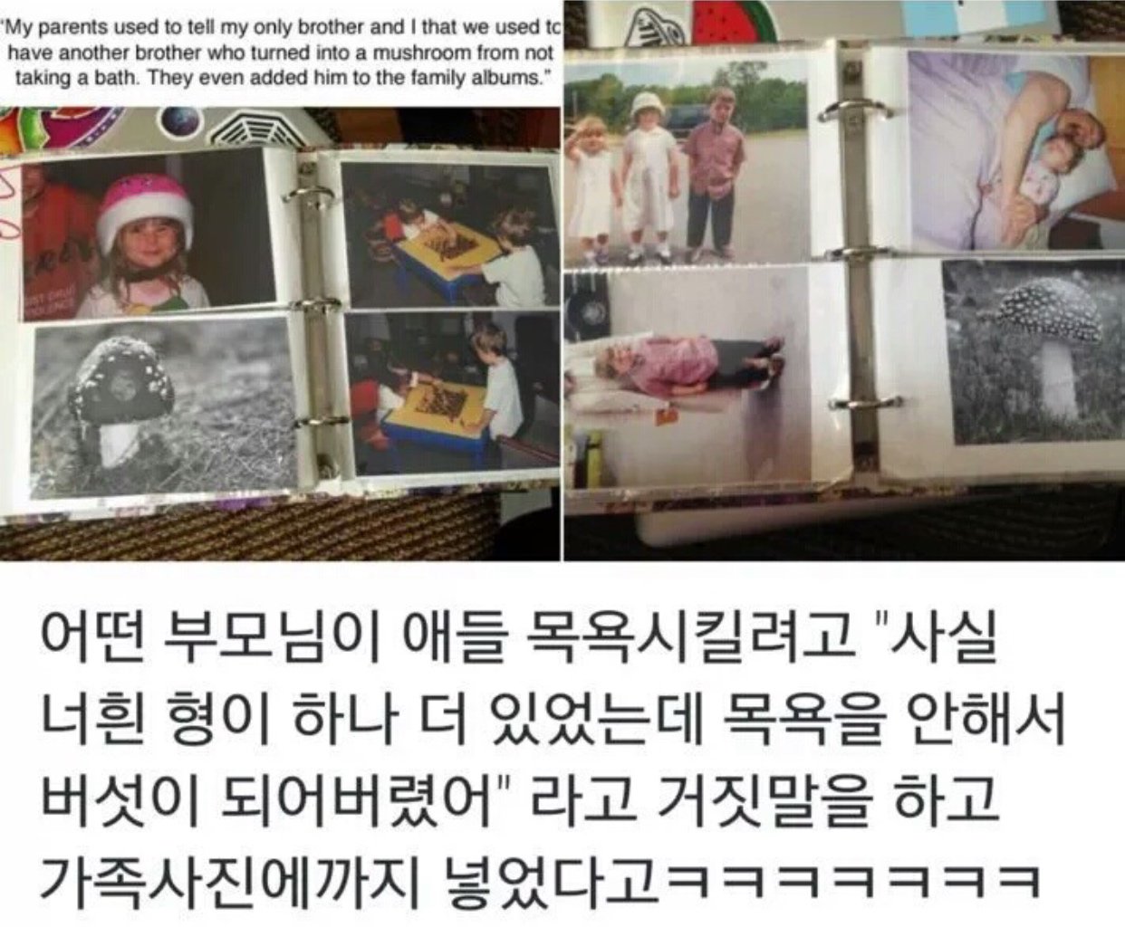 사실 너희 형은 목욕을 안해서 버섯이 되어버렸어..1