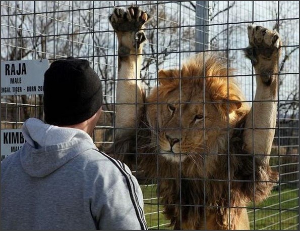 형이 좀 힘들어서 그래...JPG1