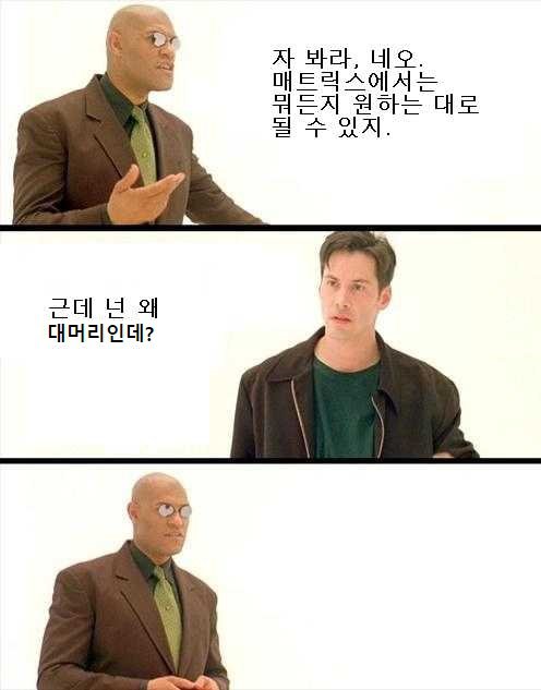 탈모인 극도발 모음.jpg2
