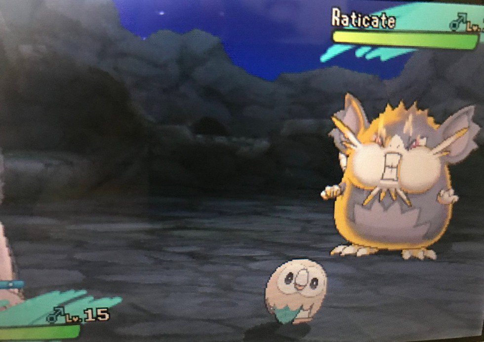 진짜 쟤랑 싸워요?1