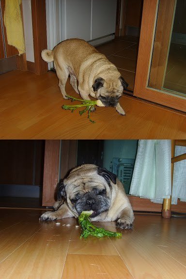 미즈사랑이 러시앤캐시를 인수하고 있다2