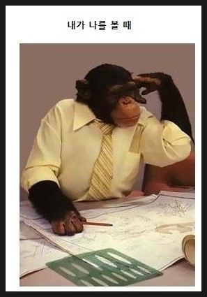 공대생에 대한 시선.jpg4