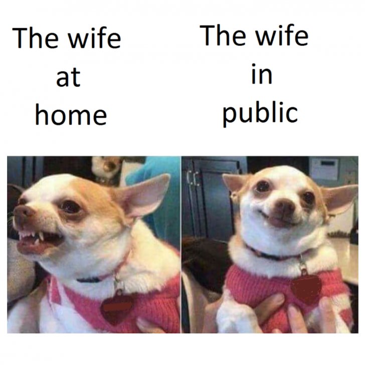 집과 밖에서 달라지는 아내1