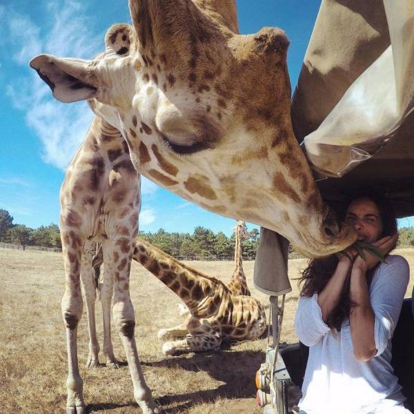 기습 키스에 깜짝 놀란 ㅊㅈ ㄷㄷㄷㄷㄷㄷㄷㄷㄷ1