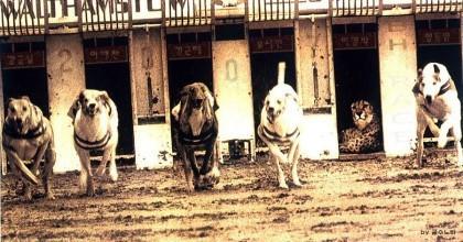 진종오 6.6.....한장 정리........jpg1