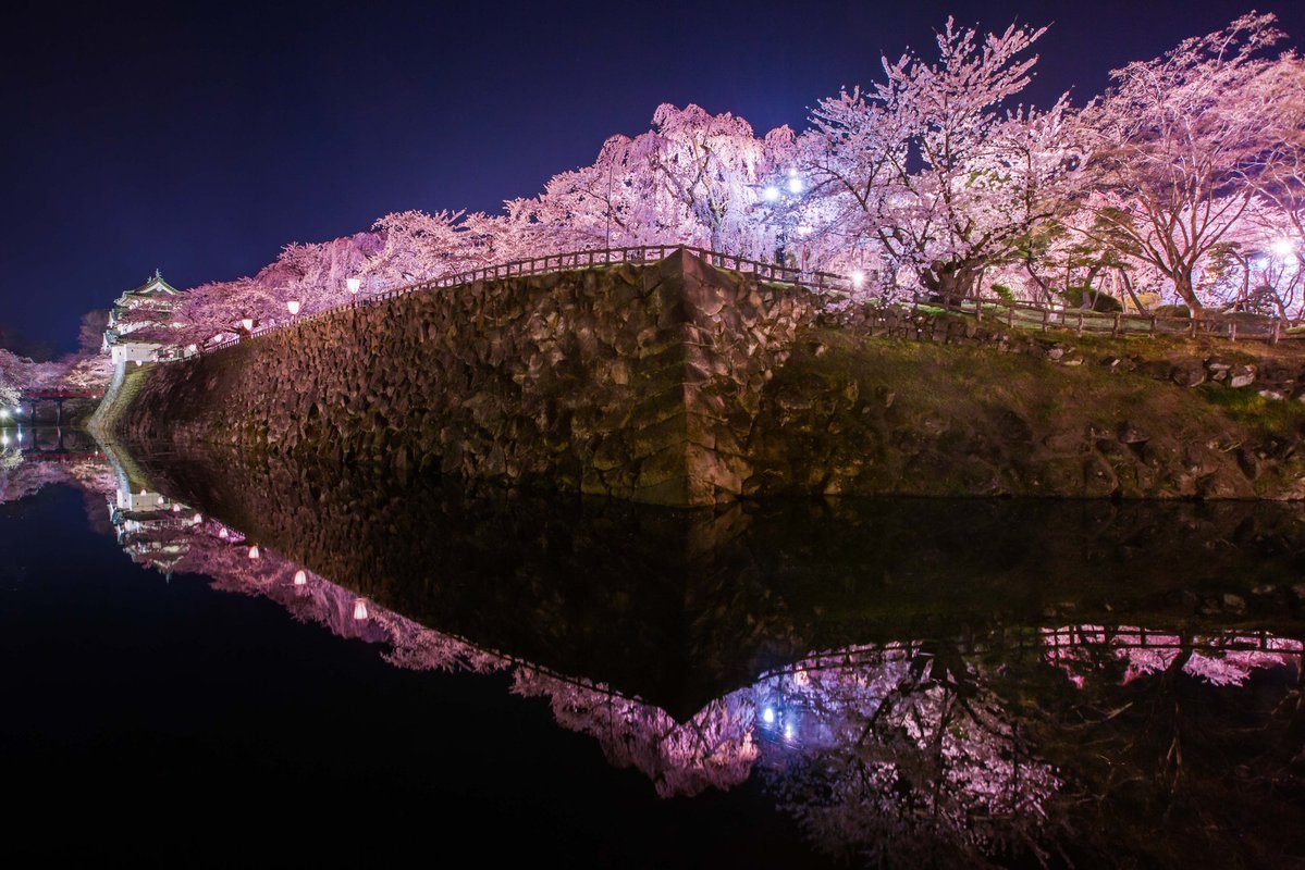 일본 최고의 벚꽃이라고 불리는 아오모리현 히로사키의 벚꽃절경.jpg5