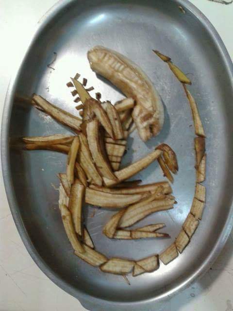 인류를 위협할 바나나1