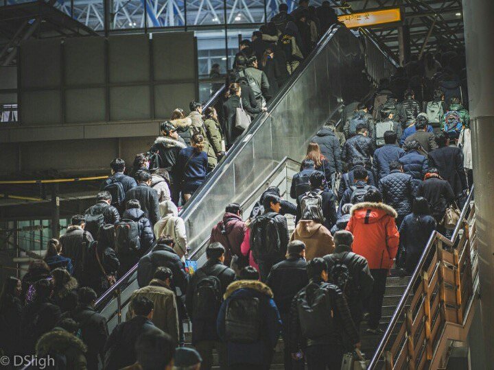 외국인이 찍은 한국사진.jpg5