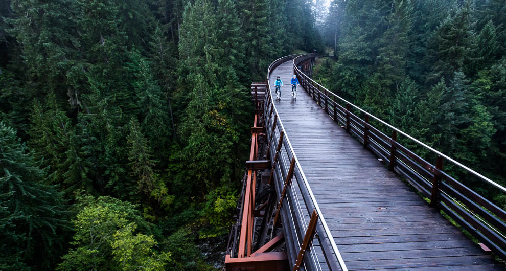 단풍국 비씨주의 정말 티피컬한 삶을 공유해봅니다 ㄷㄷㄷㄷㄷㄷㄷㄷㄷㄷㄷㄷㄷㄷ...2