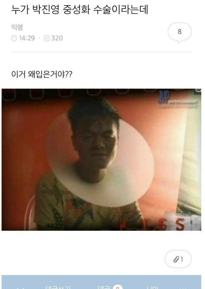 박진영 중성화 수술.jpg1