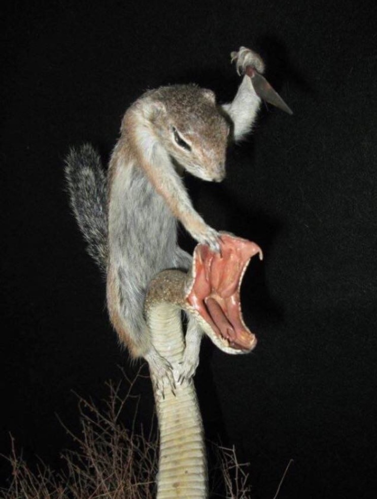 요즘 각종 커뮤니티에서 논란중인 사진.jpg1