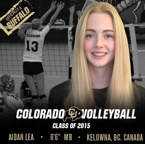 배구미녀 원탑 ㄷㄷㄷ (반박불가).jpg4