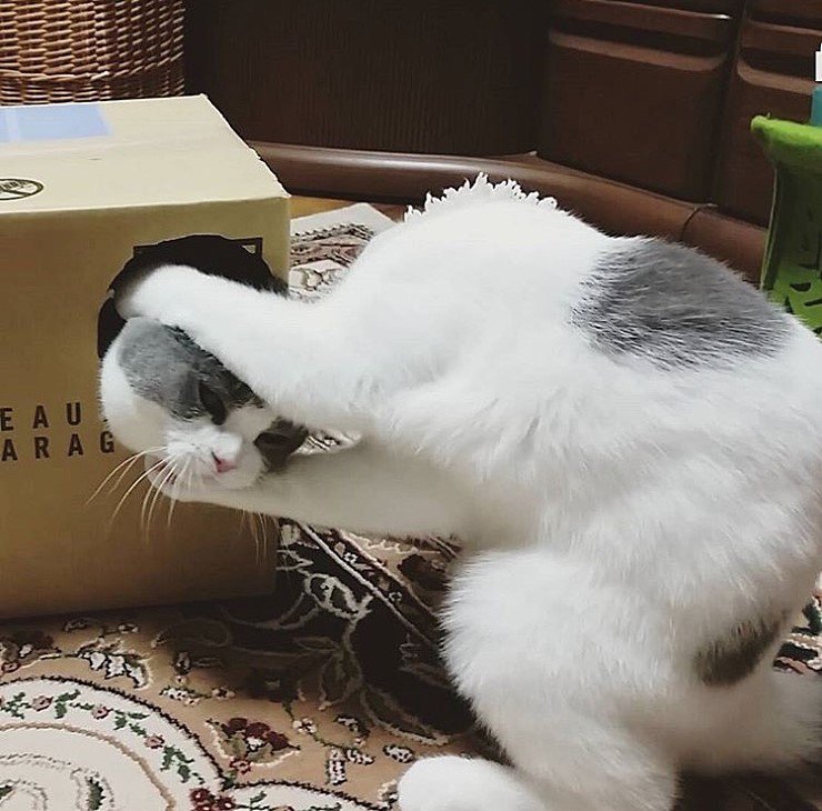 (약공포) 와~ 새 머리 왔다~ .jpg1