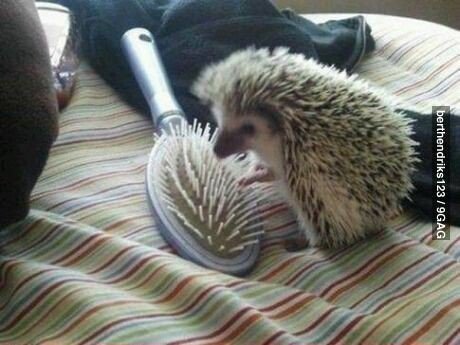 여자친구가 생겼는데 말을 안해요.jpg1