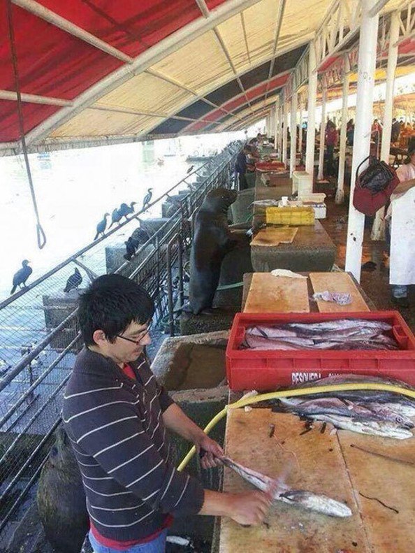 뭔가 이상한데..?2