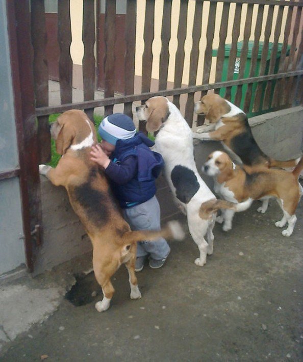 뭔가 이상한데..?4