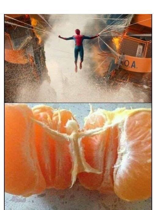 싱크로율 쩌는 귤1