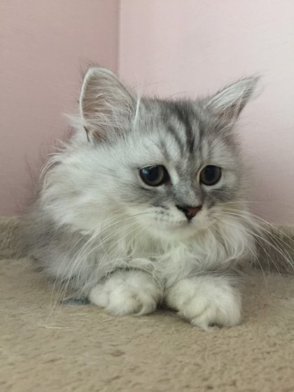 그녀 젖게 만들기1