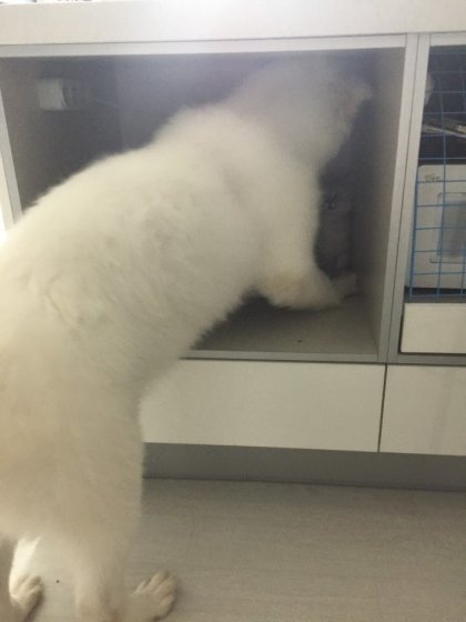 그녀 젖게 만들기2