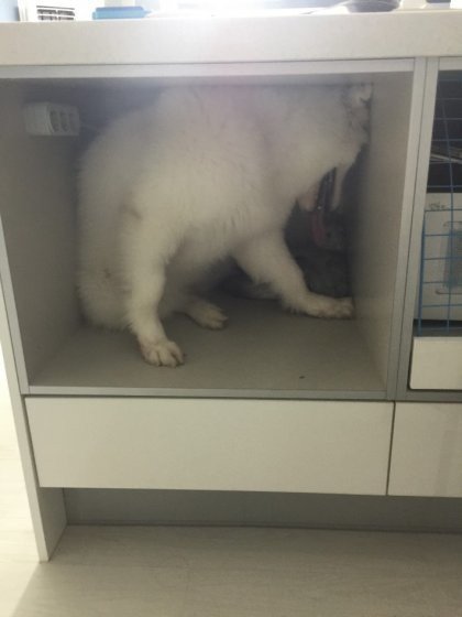 그녀 젖게 만들기3