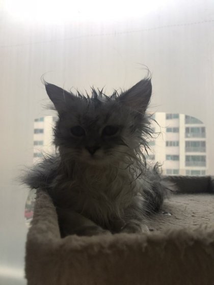 그녀 젖게 만들기4