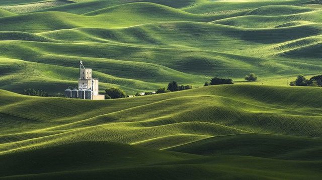 내셔널 지오그래픽 올해의 사진 후보.jpg10