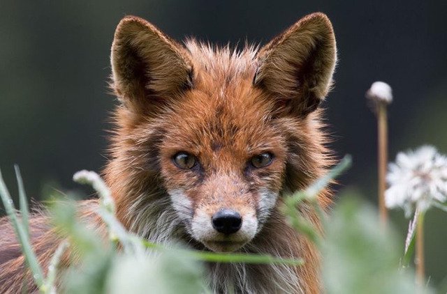 내셔널 지오그래픽 올해의 사진 후보.jpg6