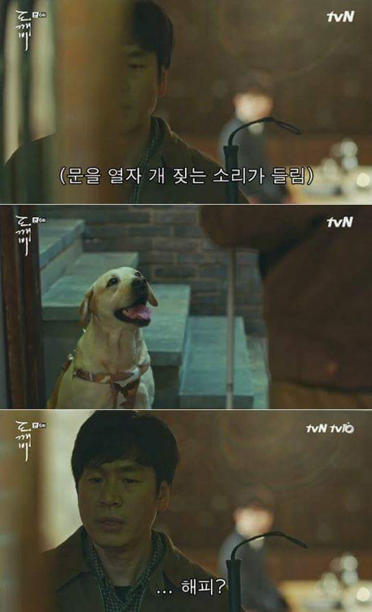 사람이 죽으면 먼저 가있던 반려동물이 마중나온다는 얘기가 있다4