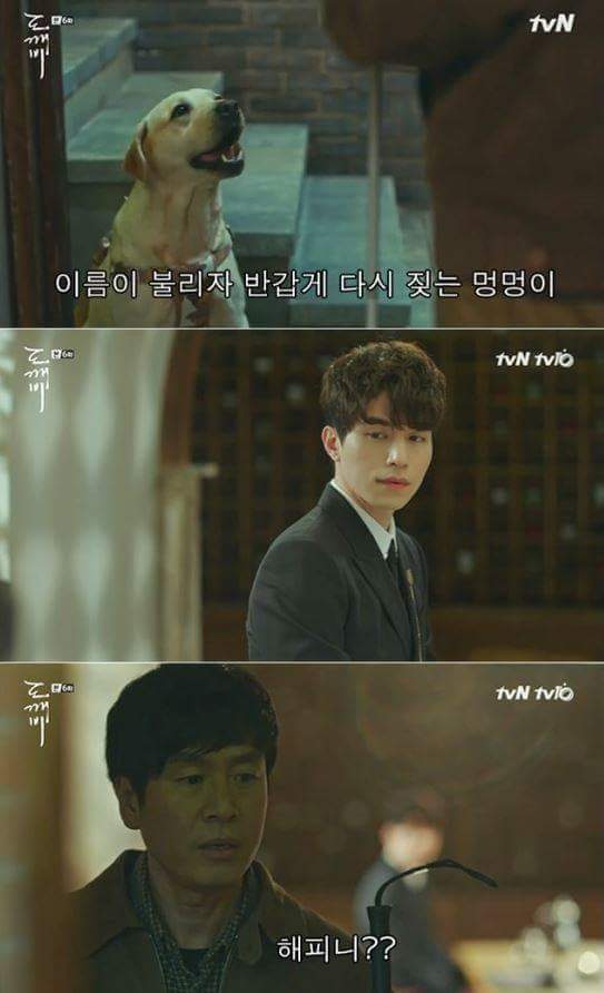 사람이 죽으면 먼저 가있던 반려동물이 마중나온다는 얘기가 있다5