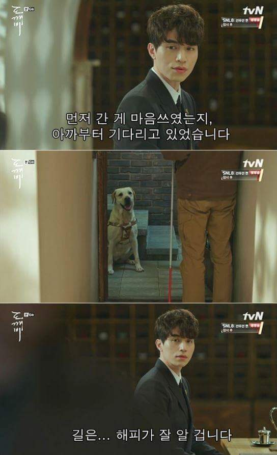 사람이 죽으면 먼저 가있던 반려동물이 마중나온다는 얘기가 있다6