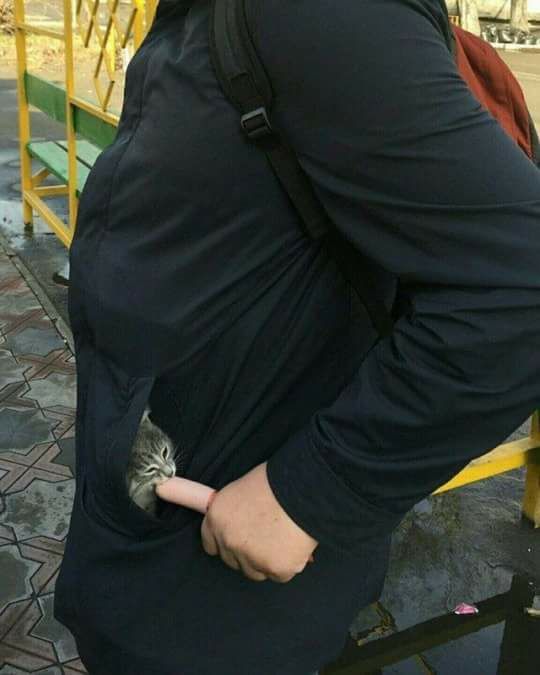 그는 자신의 소시지를 은밀하게 그 어린 것의 입에 들이 댔다.jpg1