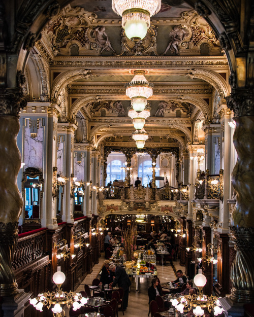 헝가리 부다페스트 호텔 카페.jpg1