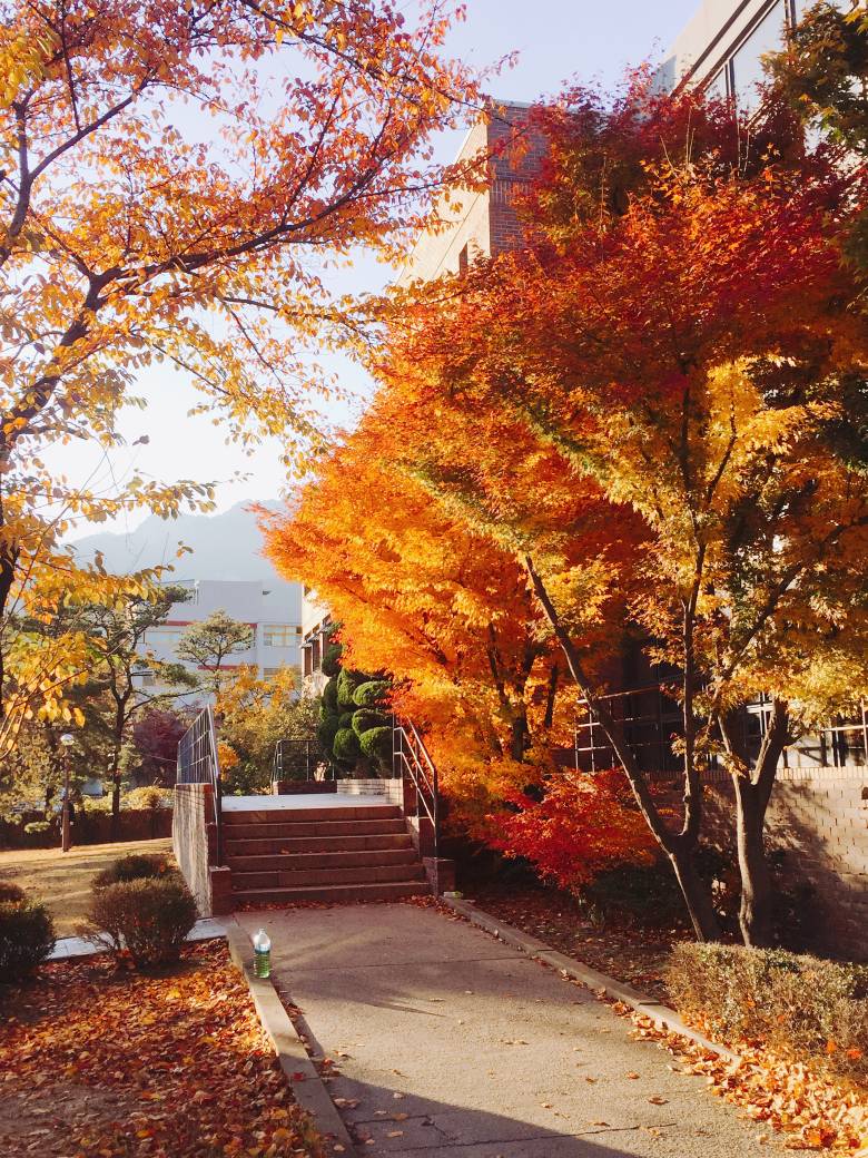 어제 다녀온 여대.jpg3