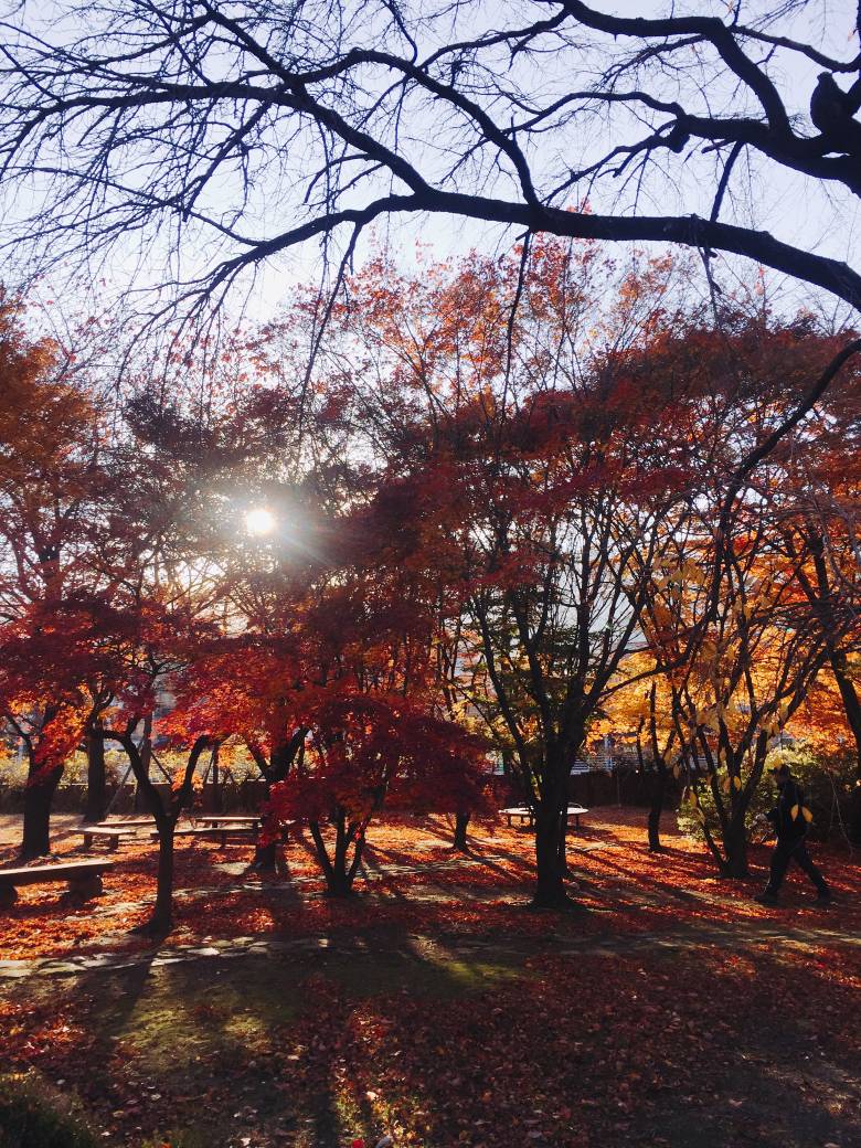 어제 다녀온 여대.jpg4