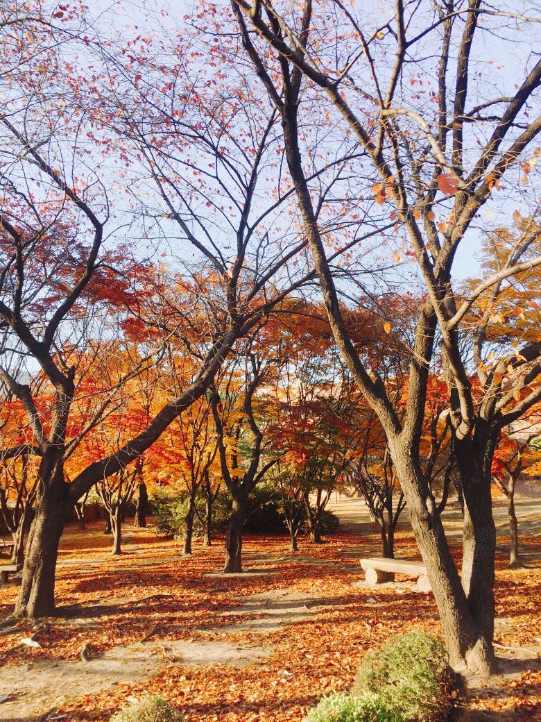 어제 다녀온 여대.jpg5